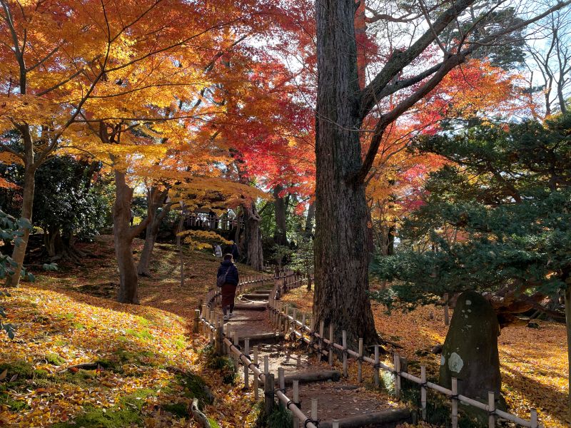紅葉の山崎山