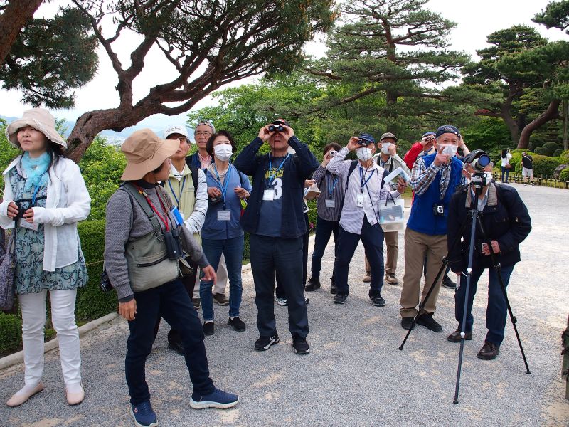 野鳥観察会